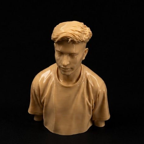 Custom 3D model